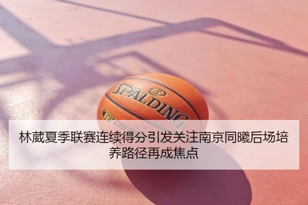 林葳夏季联赛连续得分引发关注南京同曦后场培养路径再成焦点